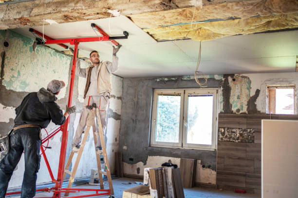 Best Insulation Installation Services in London, CA